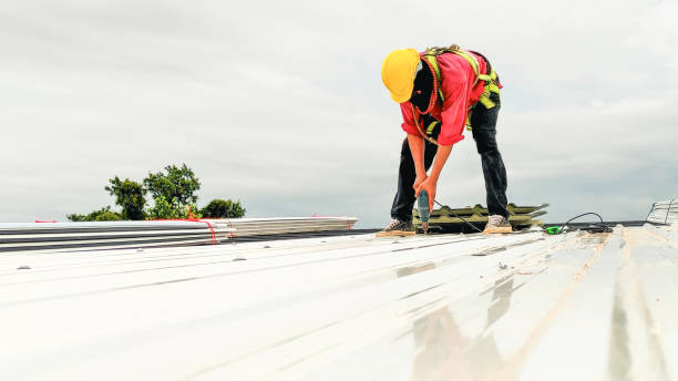 Best Roof Maintenance and Cleaning  in Guyton, GA